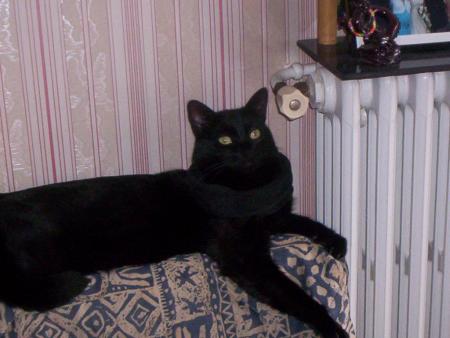 Matrix : mi-ange mi-d�mon